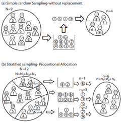 Basic Sampling Methods: What is the Knowledge Level of Academic Staff?